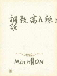 调教高h辣文小说封面