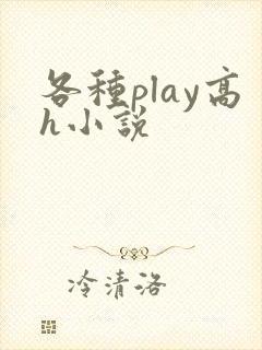 各种play高h小说