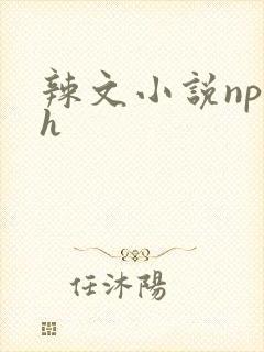 辣文小说np高h封面