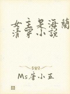 女主是海兰珠的清穿小说