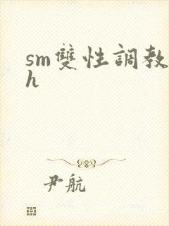 sm双性调教高h
