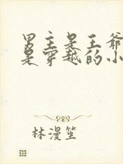 男主是王爷女主是穿越的小说