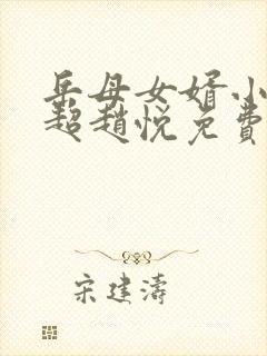 岳母女婿小说陈超赵悦免费阅读全文