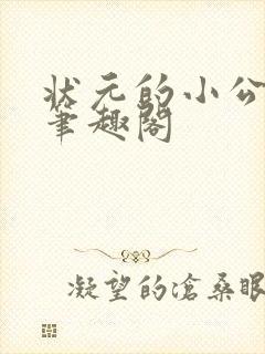 状元的小公主 笔趣阁封面