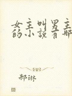 女主叫男主二叔的小说有哪些封面