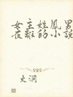 女主姓凤男主叫夜离的小说