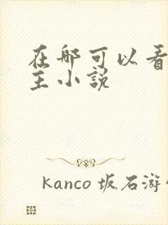 在哪可以看双男主小说