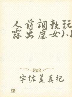 人前调教玩弄(露出虐女)小说