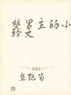 双男主的小说高干文