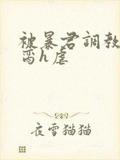 被暴君调教成禁脔h虐