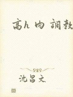 高h 肉 调教