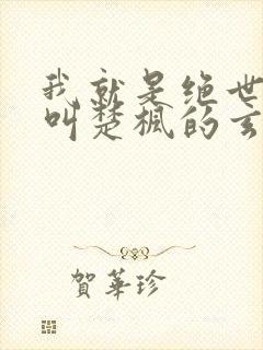 我就是绝世天才叫楚枫的玄幻小说