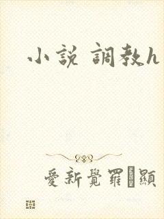 小说 调教h