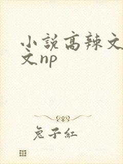 小说高辣文高h文np