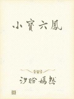 小宝六凤