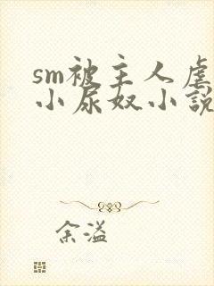 sm被主人虐玩小尿奴小说封面