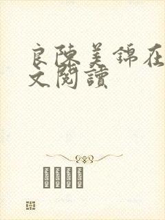 良陈美锦在线全文阅读封面