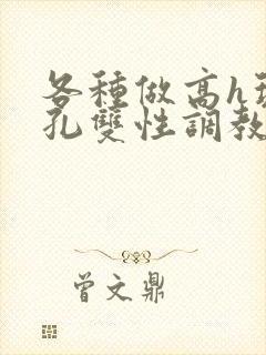 各种做高h玩尿孔双性调教