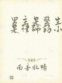 男主是医生女主是律师的小说