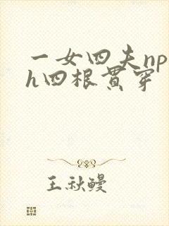 一女四夫np高h四根贯穿