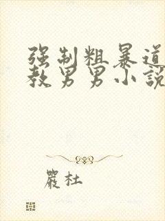 强制粗暴道具调教男男小说封面