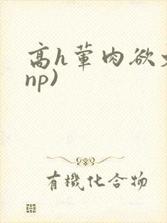高h荤肉欲文(np)