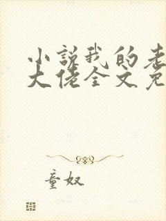 小说我的老公是大佬全文免费阅读