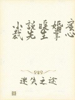 小说暖婚蜜爱总裁先生掌心宠