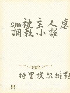 sm被主人虐玩调教小说