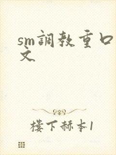 sm调教重口h文