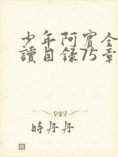 少年阿宾全文阅读目录75章笔趣阁封面