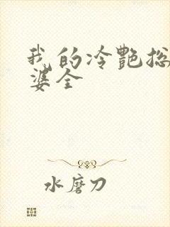 我的冷艳总裁老婆全封面