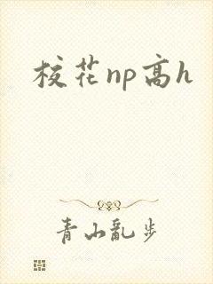 校花np高h