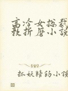 高冷女总裁被调教折磨小说封面