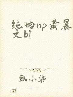 纯肉np黄暴h文bl