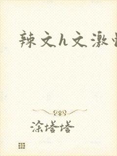 辣文h文激情文封面