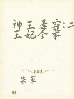 神王毒宠:二嫁王妃全本