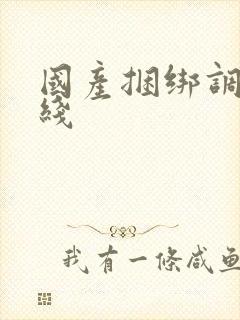 国产捆绑调教在线