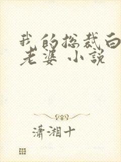 我的总裁白富美老婆 小说