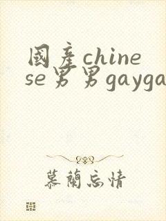 国产chinese男男gaygay网站, chinese
