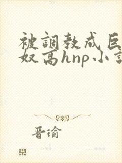 被调教成巨乳奶奴高hnp小说封面