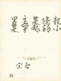 男主是条龙女主是穿越的小说