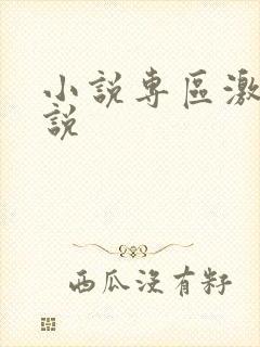 小说专区激情小说