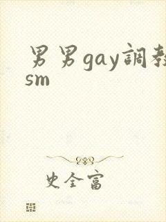 男男gay调教sm