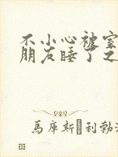 不小心被室友男朋友睡了之后》作者:阿温