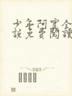 少年阿宾全文小说免费阅读笔趣阁