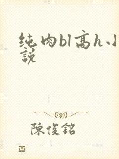 纯肉bl高h小说