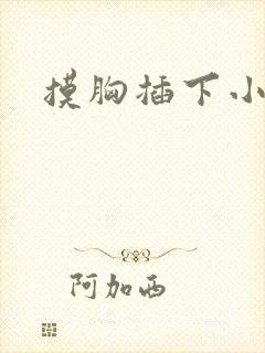 摸胸插下小说封面