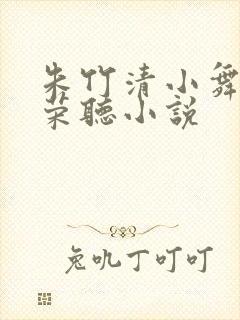 朱竹清小舞宁荣荣听小说