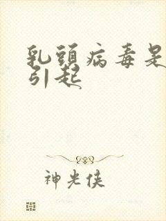 乳头病毒是什么引起